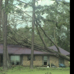 Katrina Relief 2005