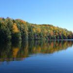 trees on calm body of water under clear blue sky at daytime
